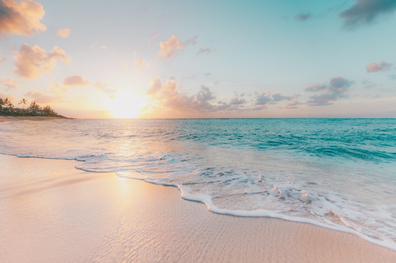 COVE Oceanside Resort & Residences